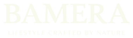 BAMERA